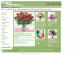 FlowerDelivery Discount Coupons