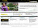 WesternUnion Discount Coupons