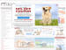 Dog.com Discount Coupons Dog.com Discount Coupons