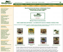 Bonsai boy coupons &