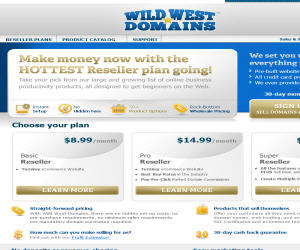 Wild West Domains Discount Coupons